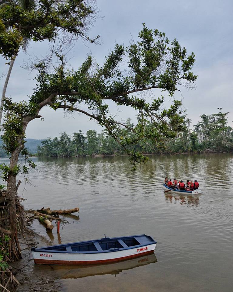Navegando El Toa – Bootsfahrt auf dem Río Toa